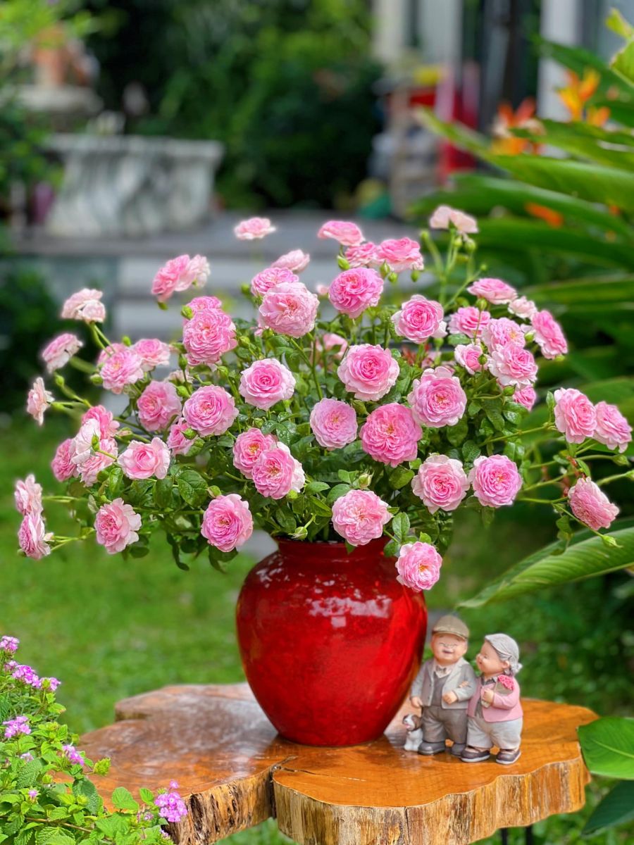 Tử vi hàng ngày - Thứ Ba 11/4/2023 của 12 cung hoàng đạo